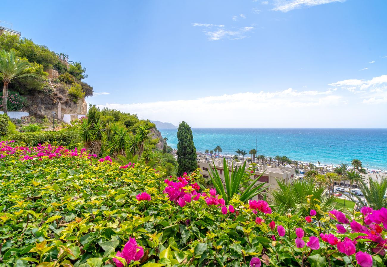 Apartment in Nerja - Capistrano Playa 201 by Casasol