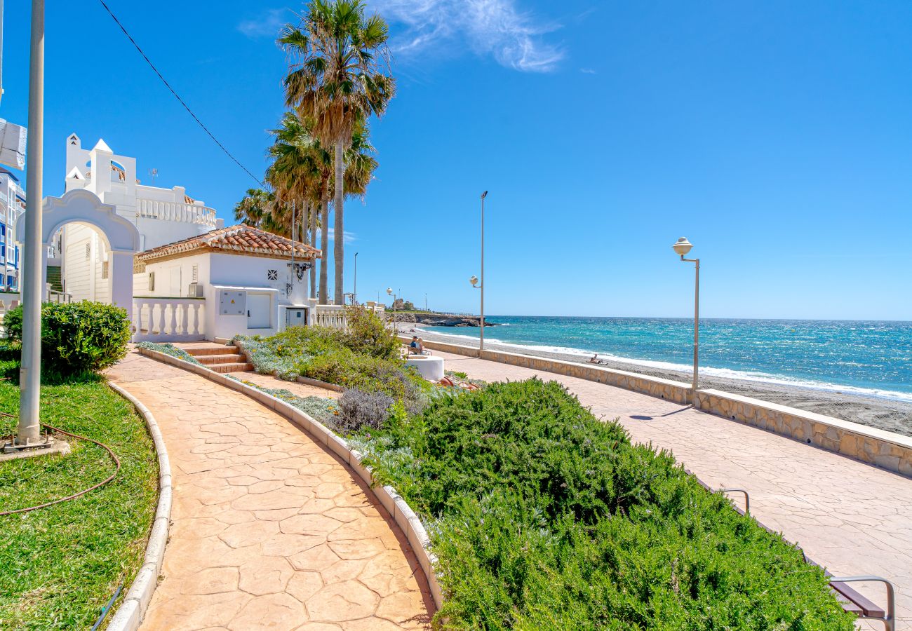 Apartment in Nerja - Stella Maris Beachfront 1J by Casasol